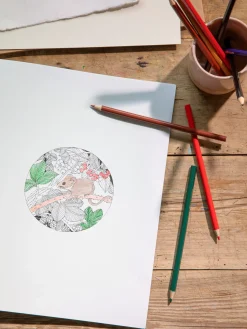 Discount Søstrene Grene Schweiz Beautiful Planet Malbuch Fern Green