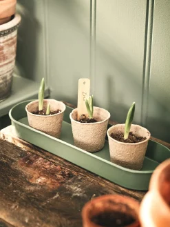 New Søstrene Grene Schweiz Biologisch Abbaubare Anzuchttöpfe Dark Nature