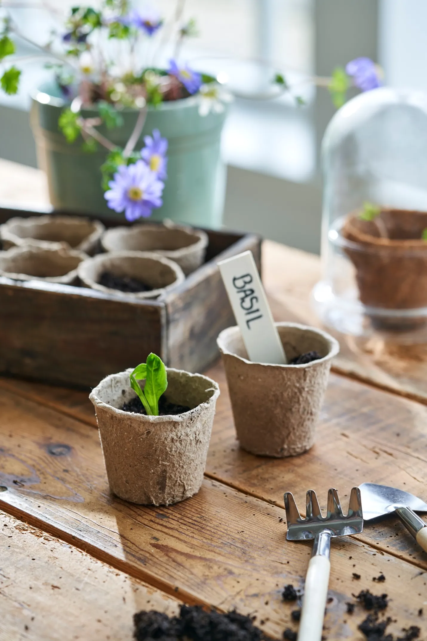 New Søstrene Grene Schweiz Biologisch Abbaubare Anzuchttöpfe Dark Nature
