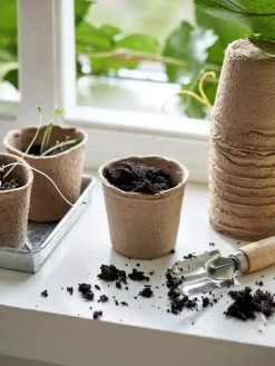 New Søstrene Grene Schweiz Biologisch Abbaubare Anzuchttöpfe Dark Nature
