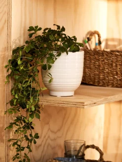 Best Søstrene Grene Schweiz Blumentopf Off White