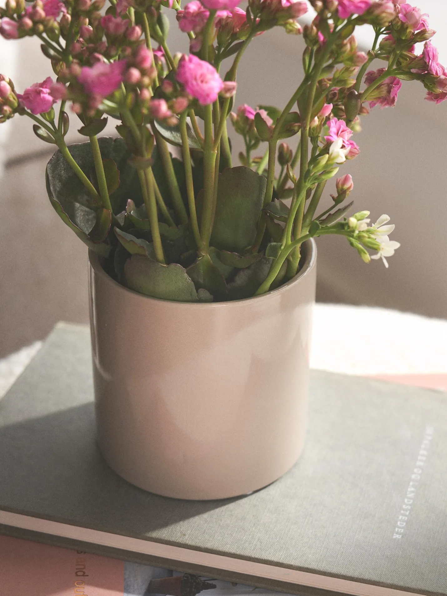 Online Søstrene Grene Schweiz Blumentopf