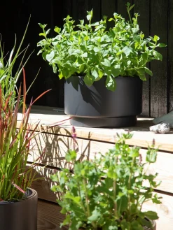Hot Søstrene Grene Schweiz Blumentopf Heos Ø29,8 Cm Anthracite