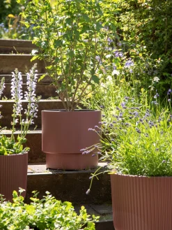 Søstrene Grene Schweiz Blumentopf Heos Ø29,8 Cm Dark Rose