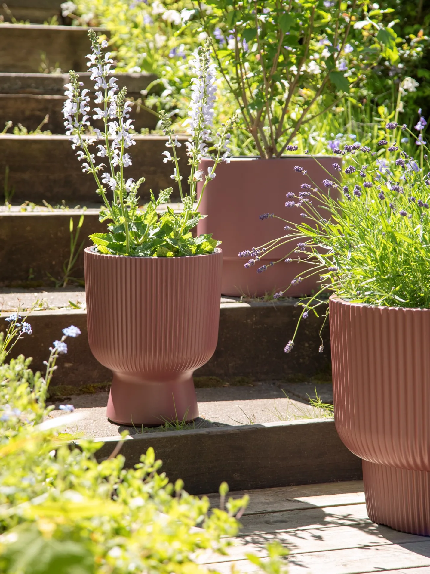 Hot Søstrene Grene Schweiz Blumentopf Milly Ø23,9 Cm Dark Rose