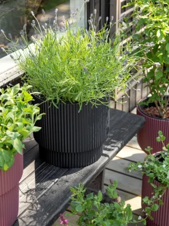 Best Søstrene Grene Schweiz Blumentopf Milly Ø29,8 Cm Anthracite