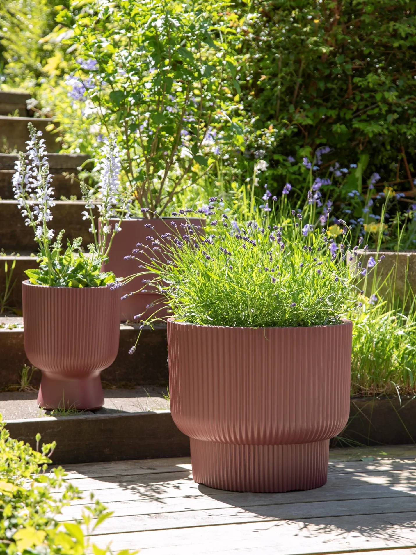 Online Søstrene Grene Schweiz Blumentopf Milly Ø39,5 Cm Dark Rose