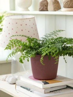 Clearance Søstrene Grene Schweiz Blumentopf Milly Ø16,9 Cm Dark Rose