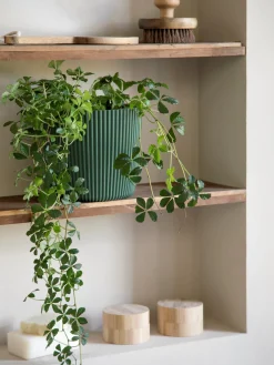 Outlet Søstrene Grene Schweiz Blumentopf Milly Ø19,6 Cm Forest Green