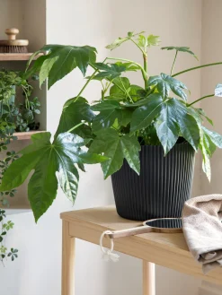 Online Søstrene Grene Schweiz Blumentopf Milly Ø23,6 Cm Anthracite