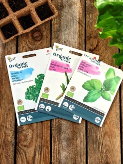 Outlet Søstrene Grene Schweiz Buzzy® Bio-Salbei Multi