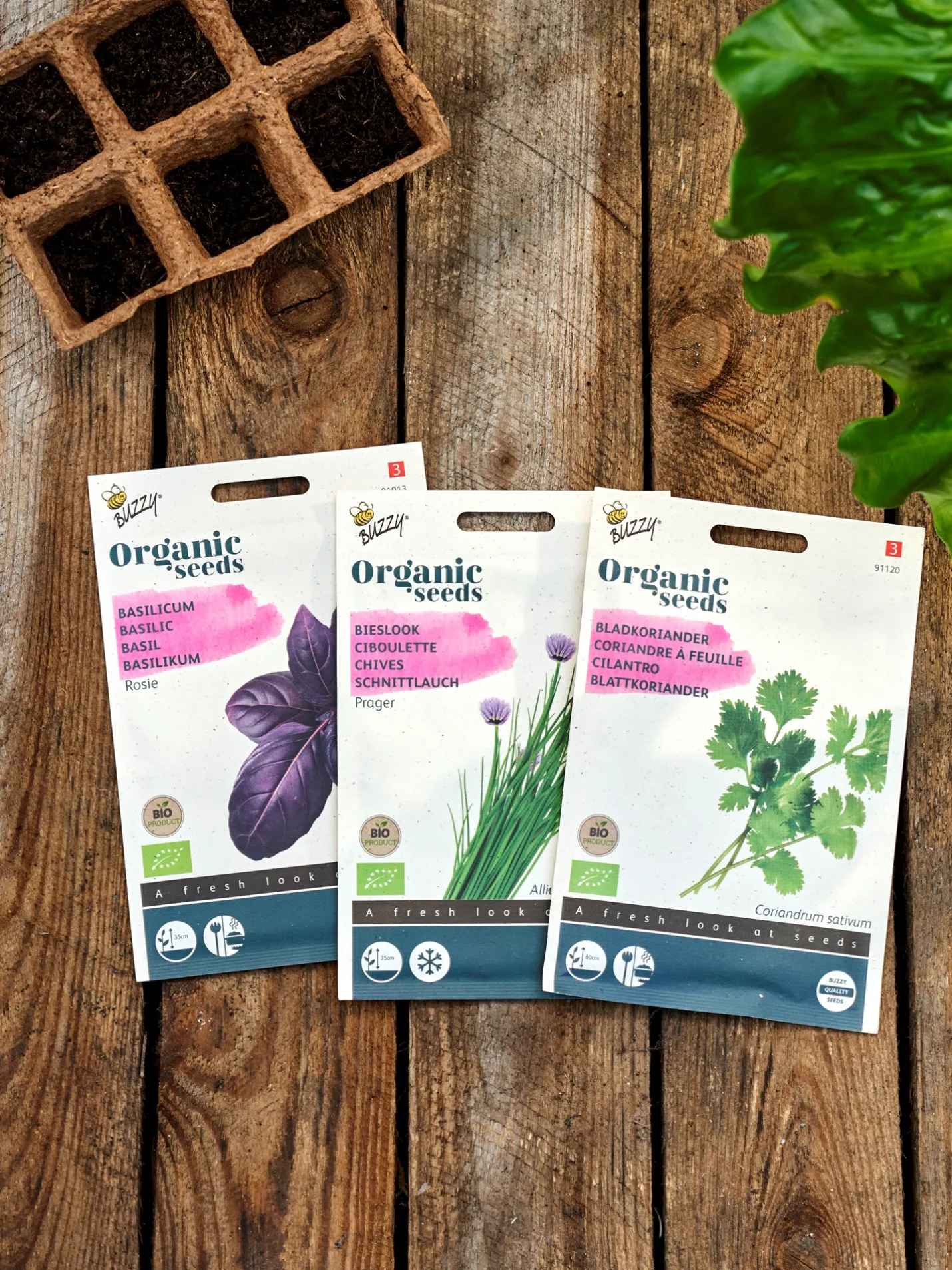 Hot Søstrene Grene Schweiz Buzzy® Bio-Schnittlauch Prager Multi