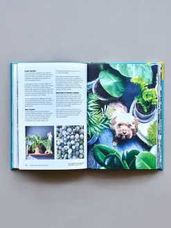 Søstrene Grene Schweiz Green Home - The Joy Of Living With Plants Mint Leaf