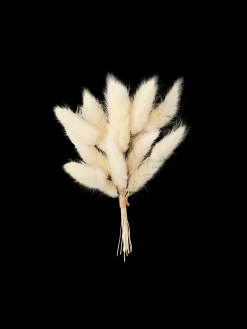 Clearance Søstrene Grene Schweiz Hasenschwänzchen Zum Basteln Off White