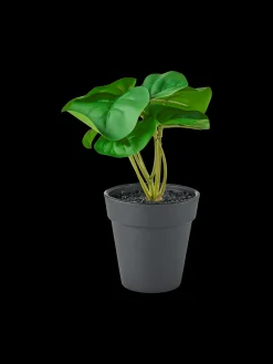 Hot Søstrene Grene Schweiz Künstliche Blume Im Topf Dark Green