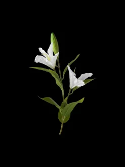 Clearance Søstrene Grene Schweiz Künstliche Lilie White