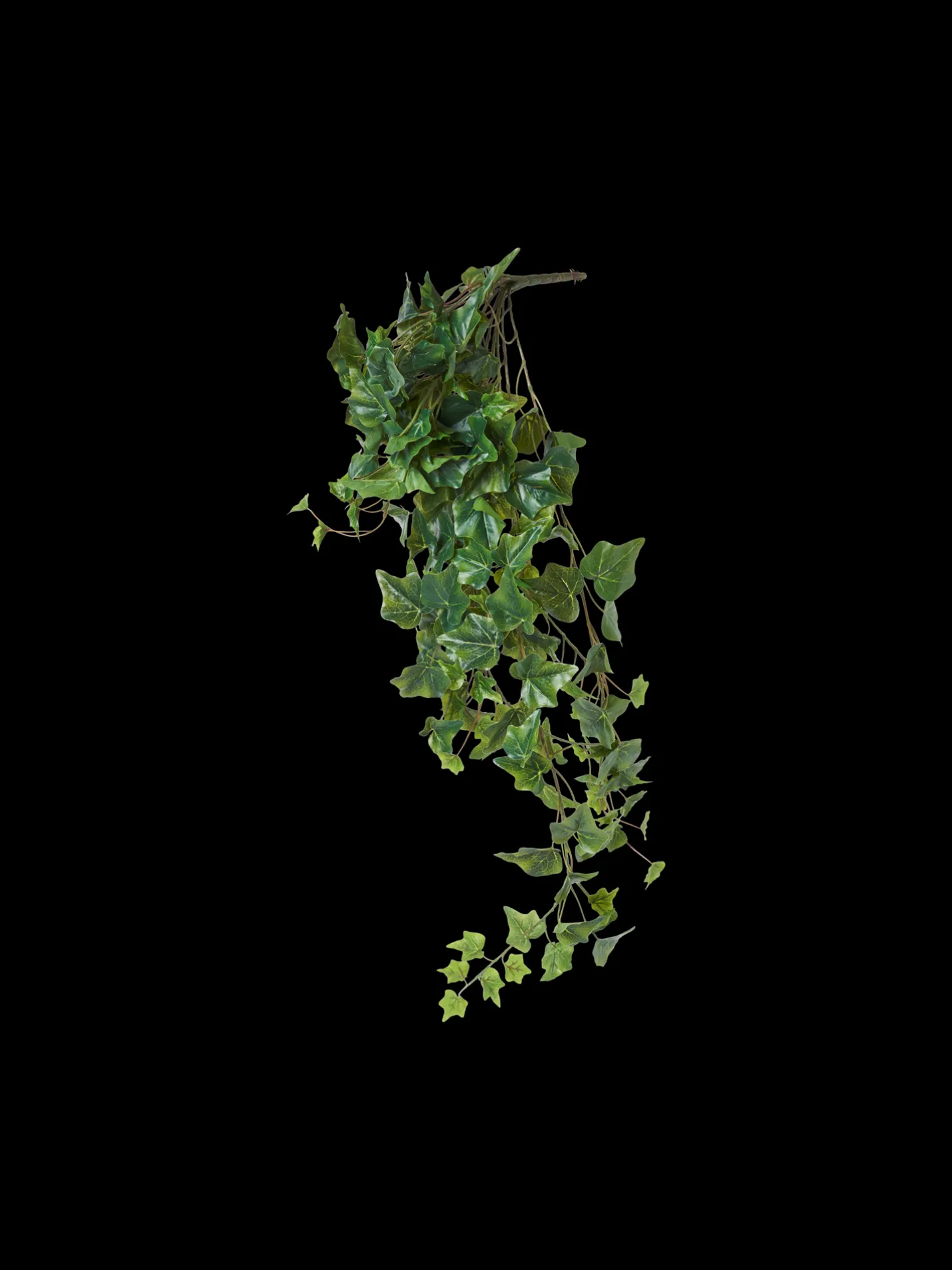 Sale Søstrene Grene Schweiz Künstlicher Efeu Moss Green