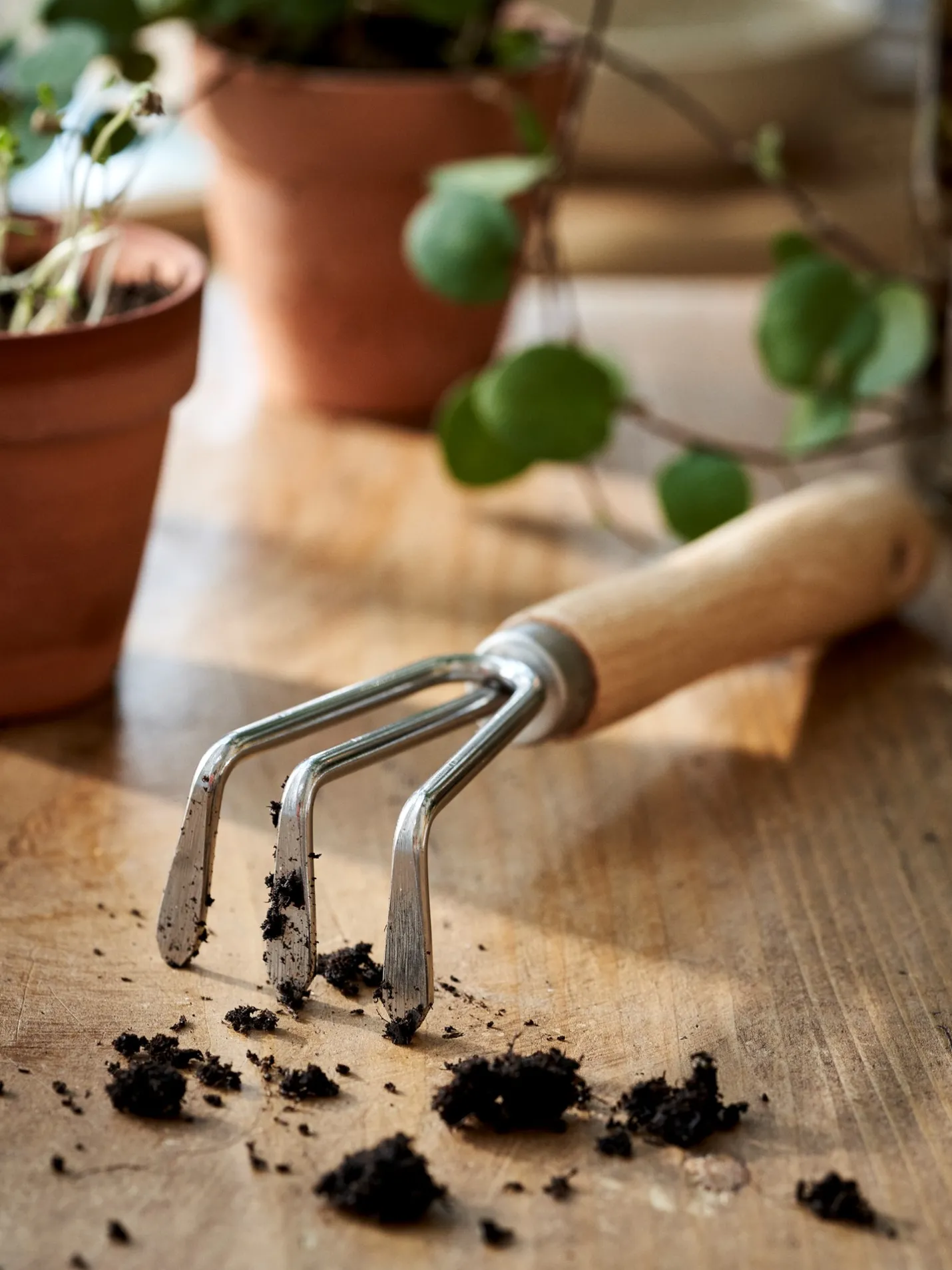 Discount Søstrene Grene Schweiz Mini-Hake Nature