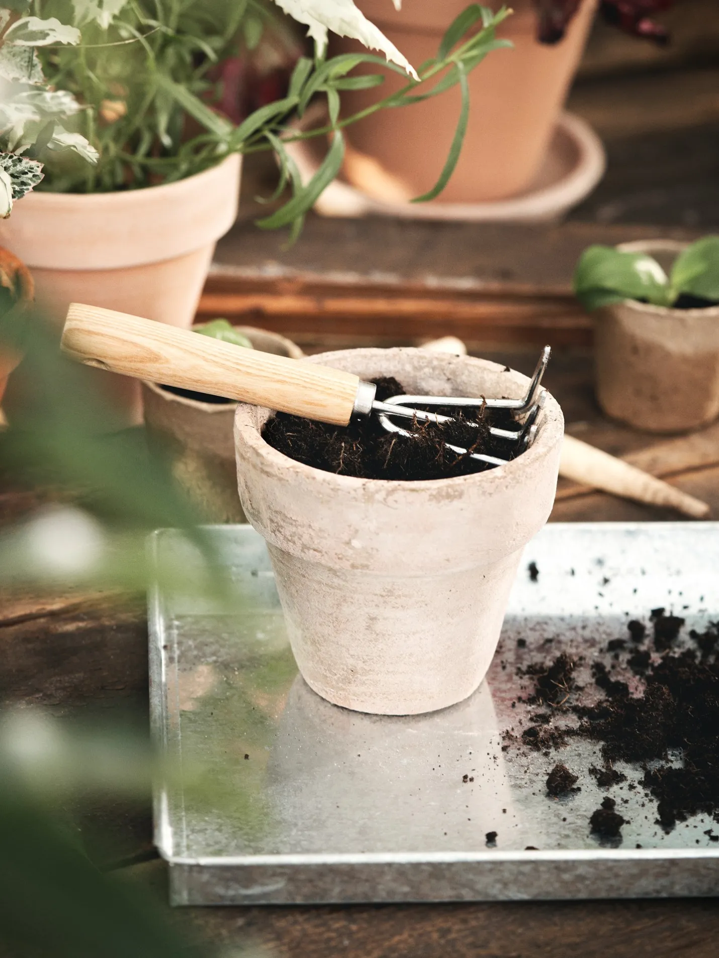 Discount Søstrene Grene Schweiz Mini-Hake Nature