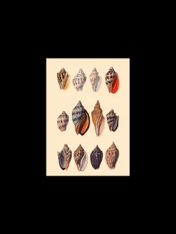 Sale Søstrene Grene Schweiz Poster 15 X 21 Multi