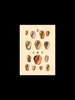 Outlet Søstrene Grene Schweiz Poster 15 X 21 Multi