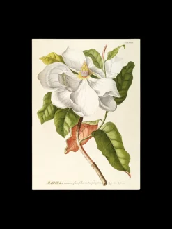 Best Søstrene Grene Schweiz Poster 50 X 70 Multi