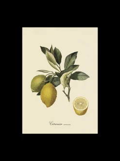 Discount Søstrene Grene Schweiz Poster 50 X 70 Multi