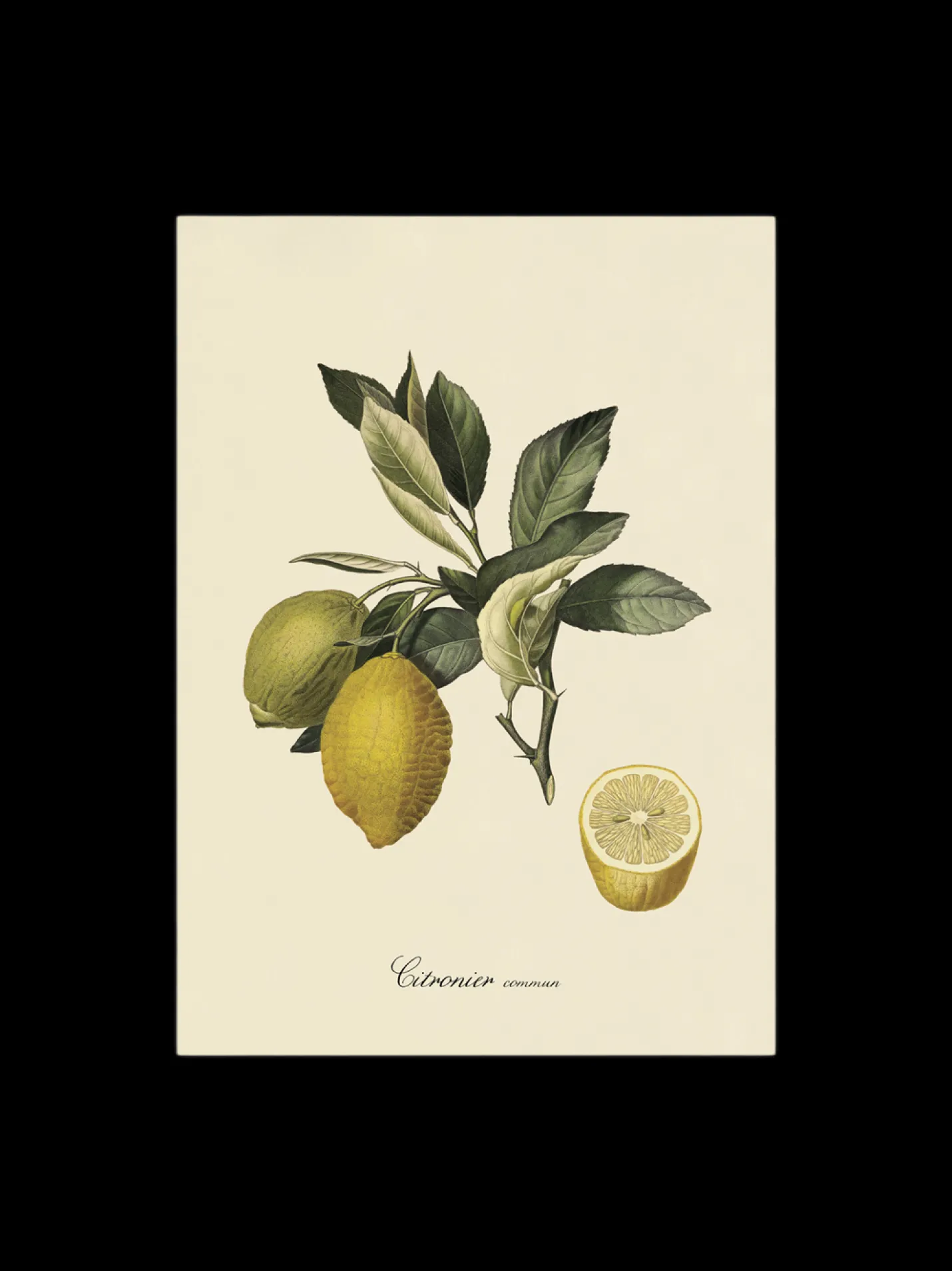 Discount Søstrene Grene Schweiz Poster 50 X 70 Multi