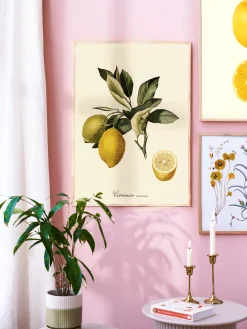 Discount Søstrene Grene Schweiz Poster 50 X 70 Multi