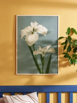 Clearance Søstrene Grene Schweiz Poster 50 X 70 Multi