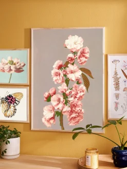 Outlet Søstrene Grene Schweiz Poster 50 X 70 Multi