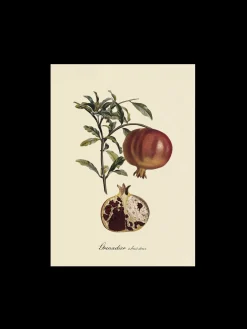 Online Søstrene Grene Schweiz Poster A3 Multi