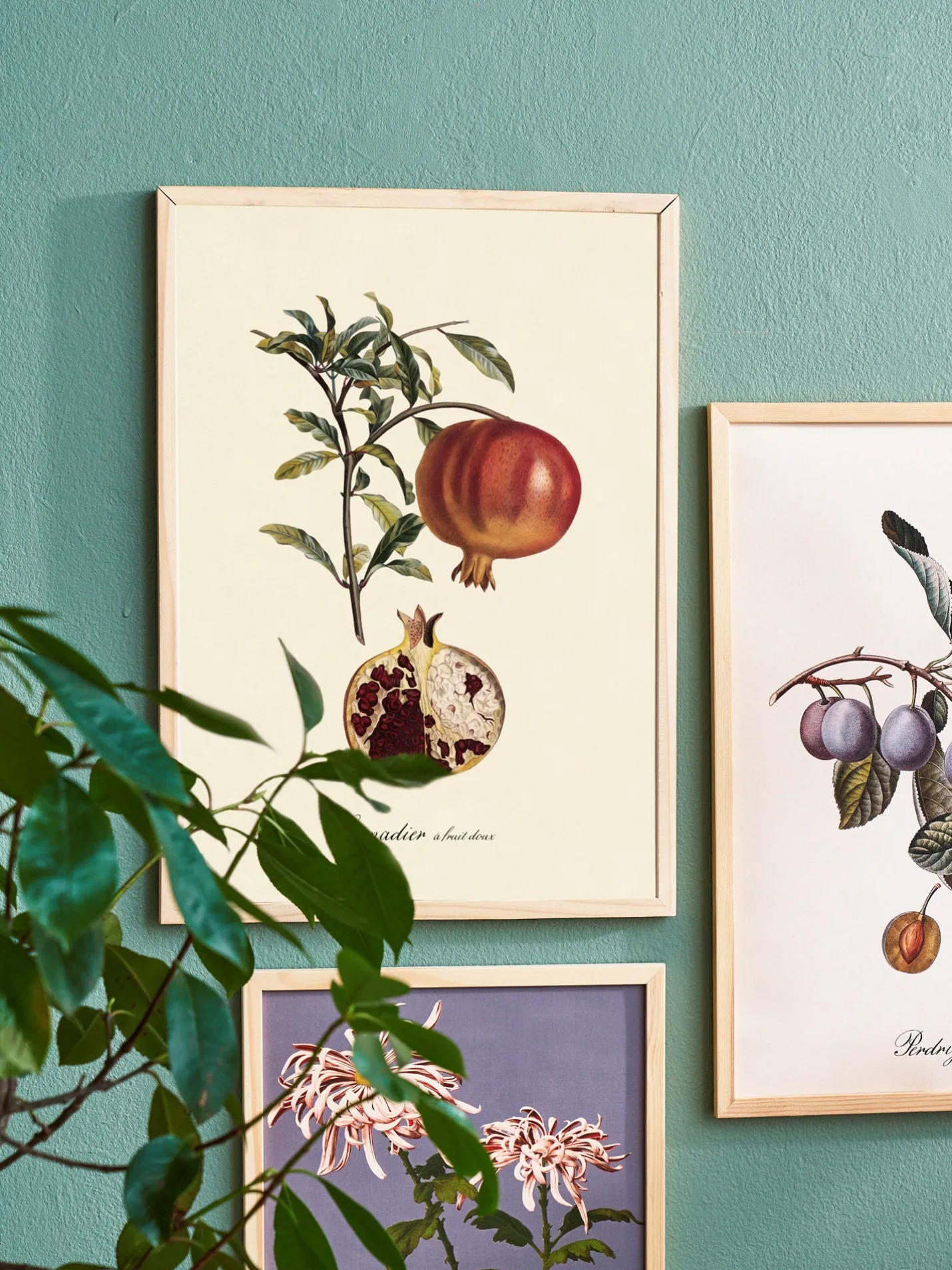 Online Søstrene Grene Schweiz Poster A3 Multi
