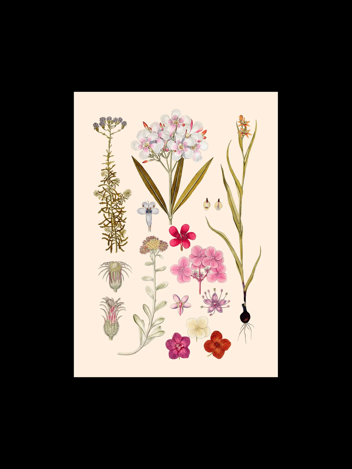 Outlet Søstrene Grene Schweiz Poster A3 Multi
