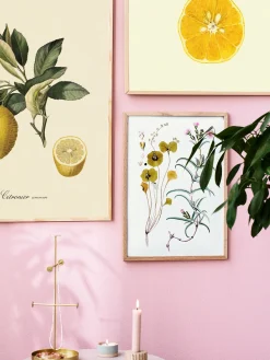 Best Søstrene Grene Schweiz Poster A3 Multi