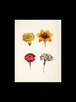 Discount Søstrene Grene Schweiz Poster A3 Multi