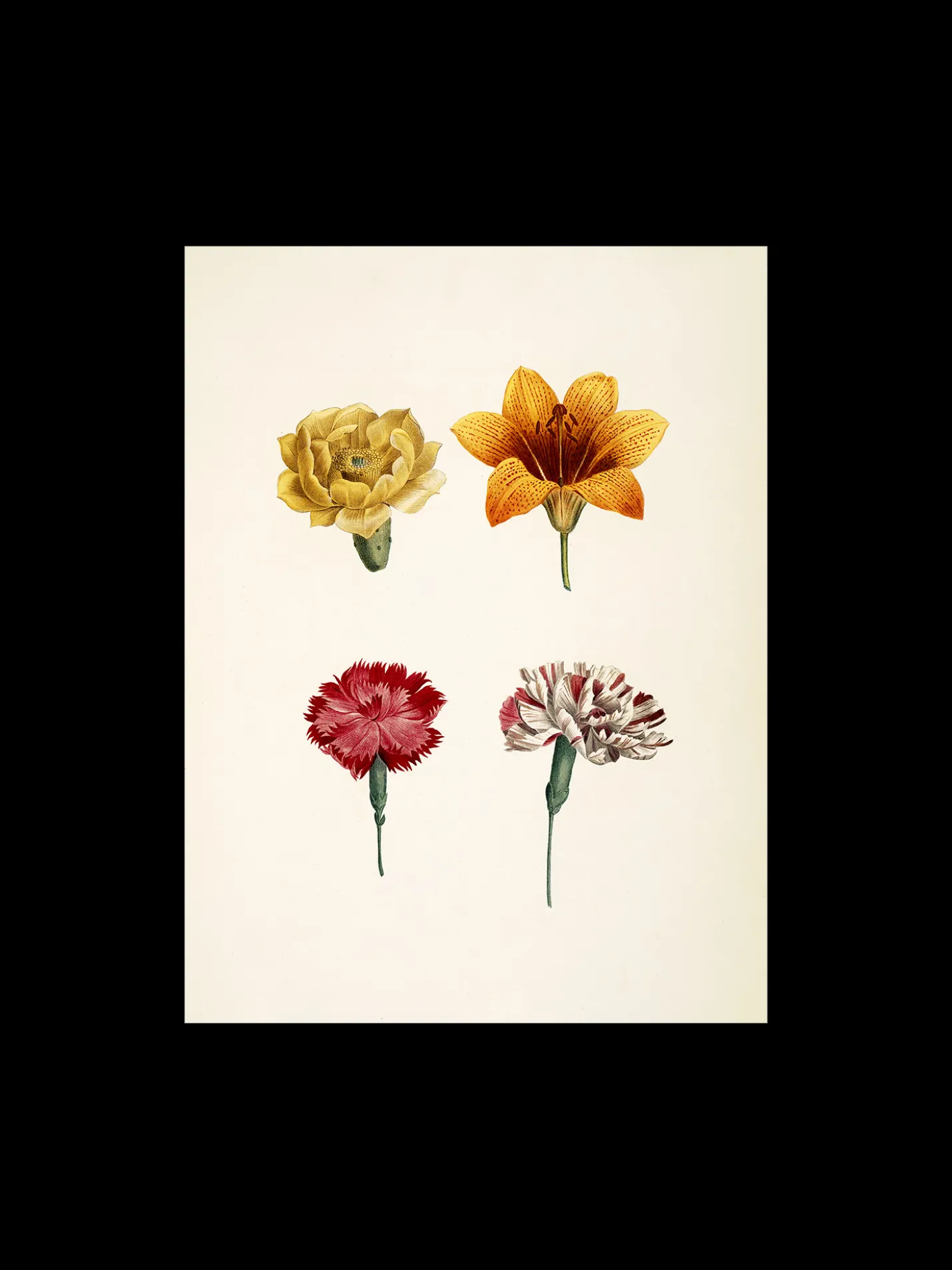 Discount Søstrene Grene Schweiz Poster A3 Multi