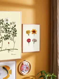 Discount Søstrene Grene Schweiz Poster A3 Multi