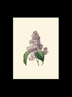 Discount Søstrene Grene Schweiz Poster A3 Multi
