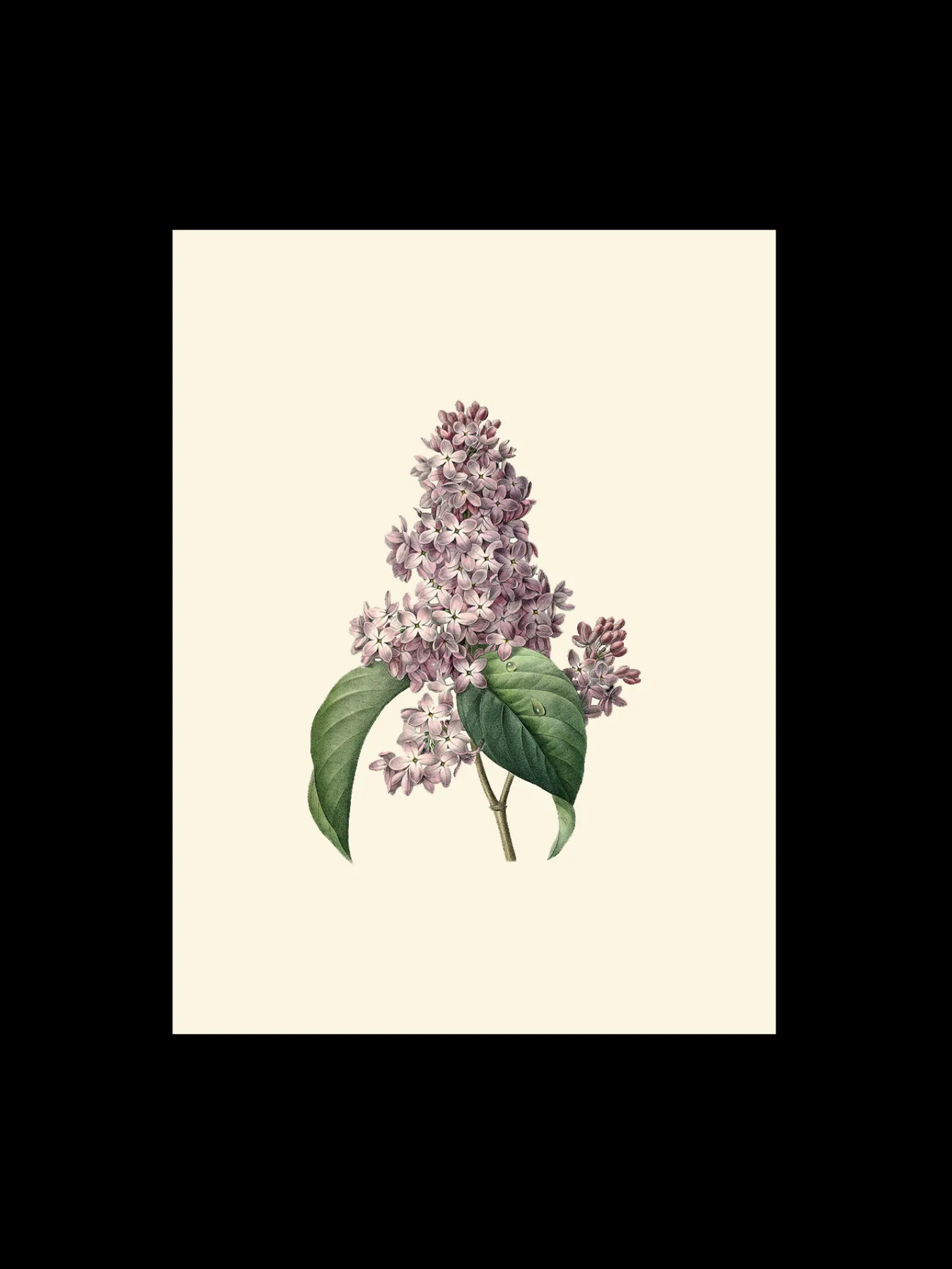 Discount Søstrene Grene Schweiz Poster A3 Multi