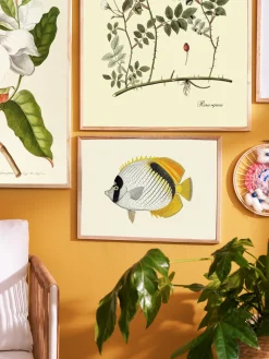 Discount Søstrene Grene Schweiz Poster A3 Multi