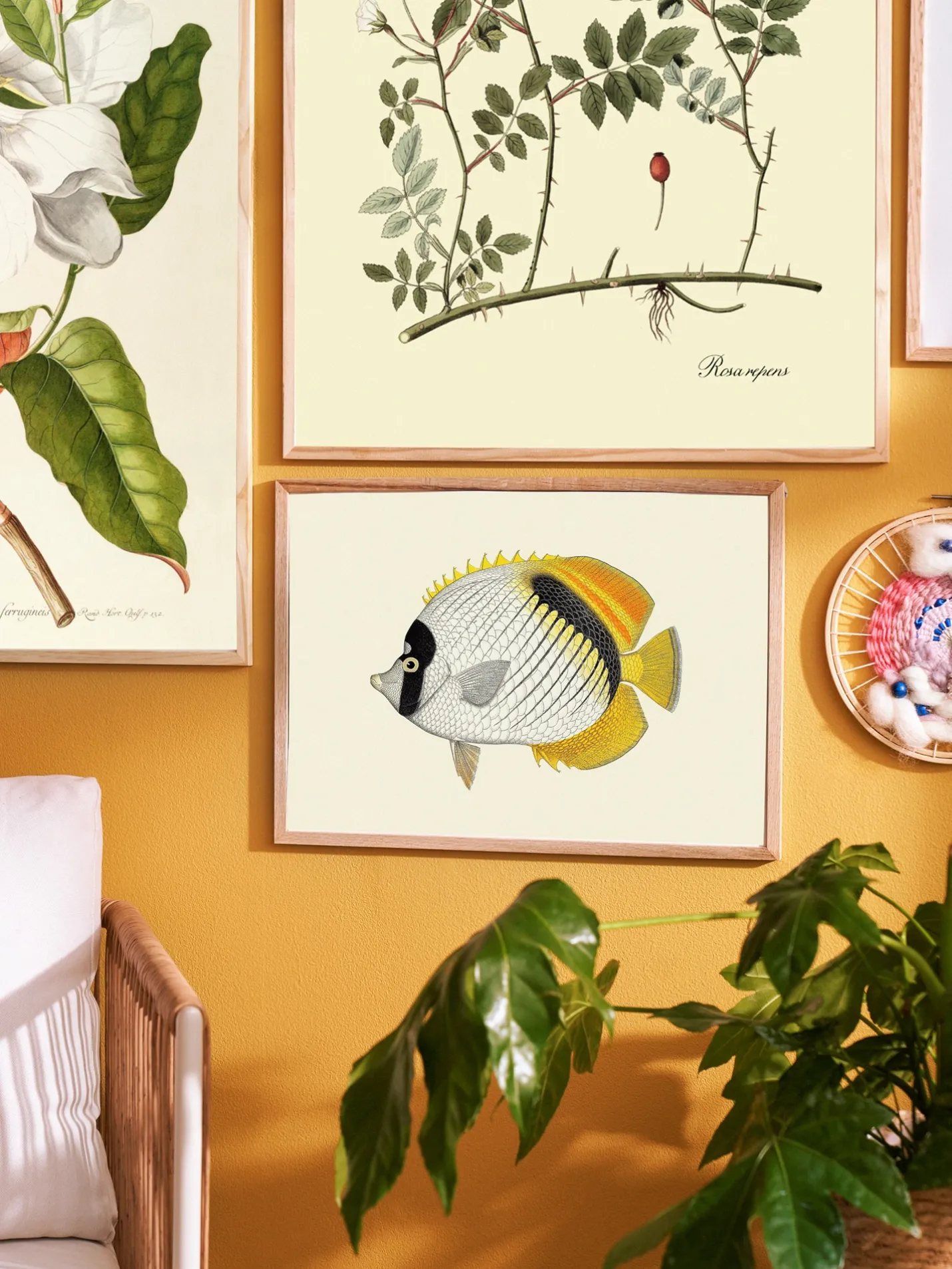 Discount Søstrene Grene Schweiz Poster A3 Multi