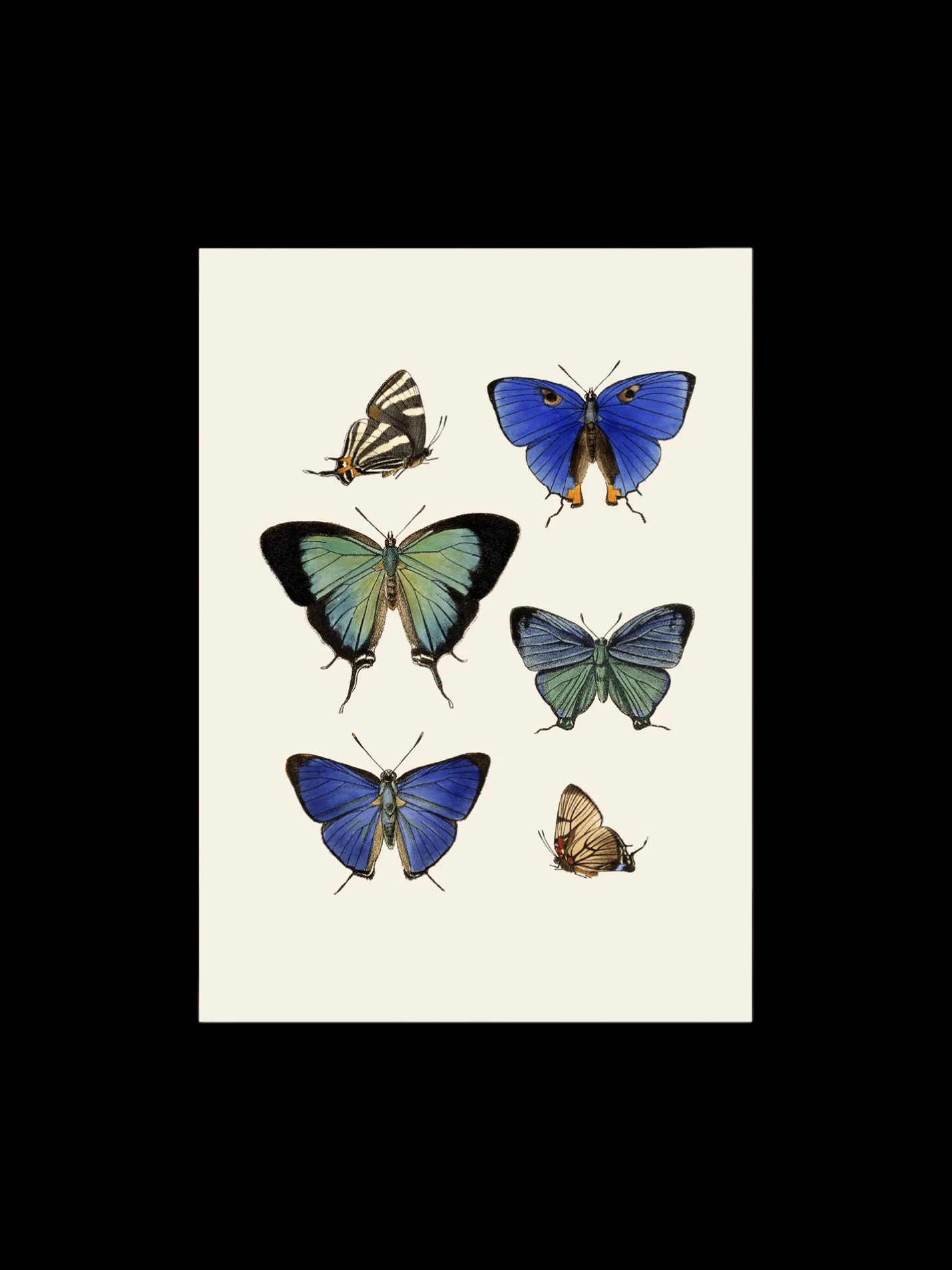 Sale Søstrene Grene Schweiz Poster A3 Multi