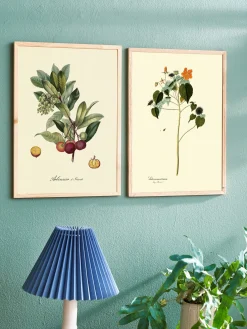 New Søstrene Grene Schweiz Poster A3 Multi
