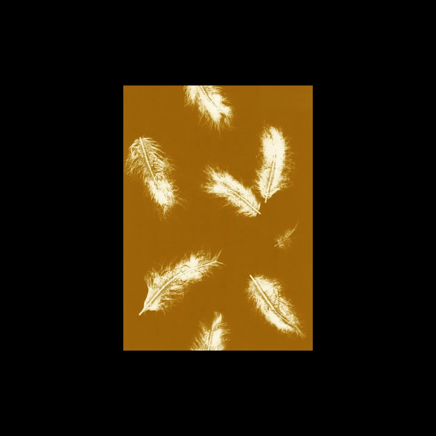 Hot Søstrene Grene Schweiz Poster Feather Dark Mustard 40 X 50 Multi