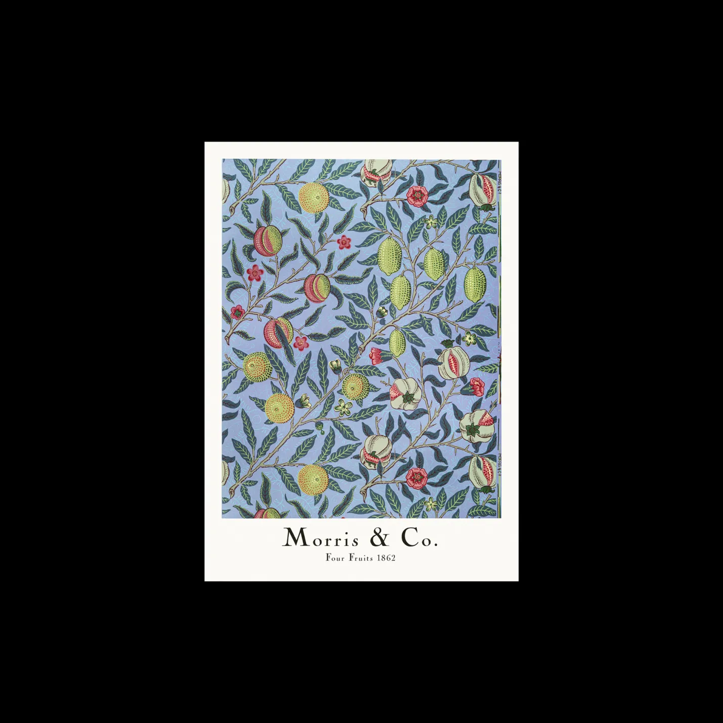 New Søstrene Grene Schweiz Poster Four Fruits 50 X 70 Misty Blue