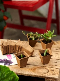 Outlet Søstrene Grene Schweiz SOGO Anzuchttöpfe Nature