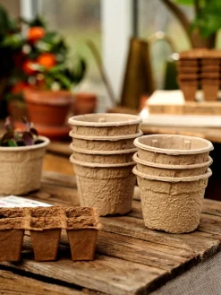 Clearance Søstrene Grene Schweiz SOGO Töpfe Und Anzuchtschale Nature