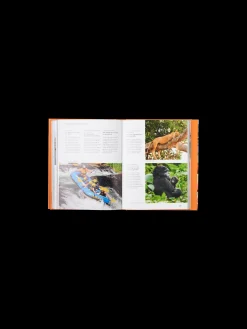 Best Søstrene Grene Schweiz The Family Bucket List Multi
