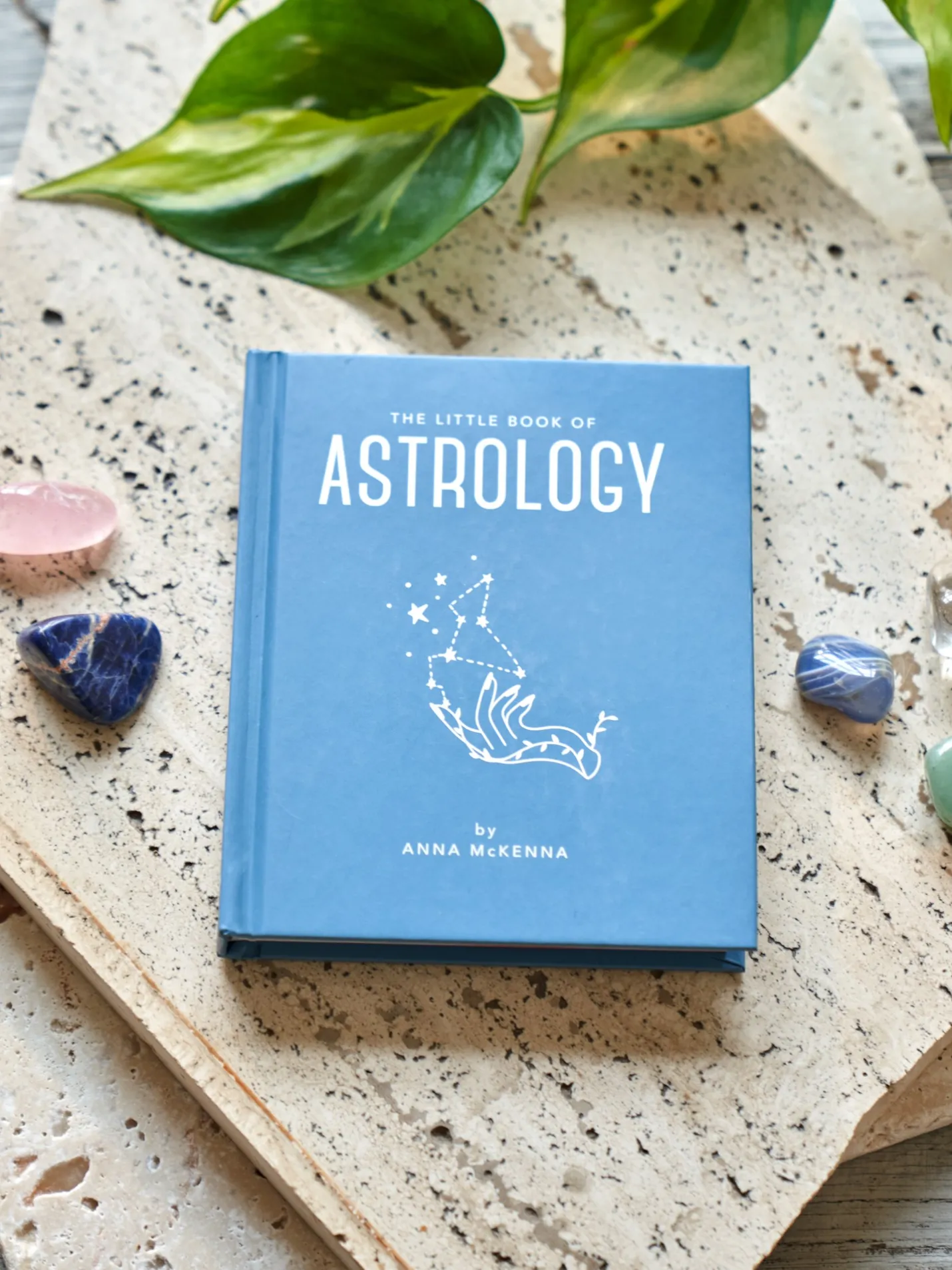 Online Søstrene Grene Schweiz The Little Book Of Astrology Petrol